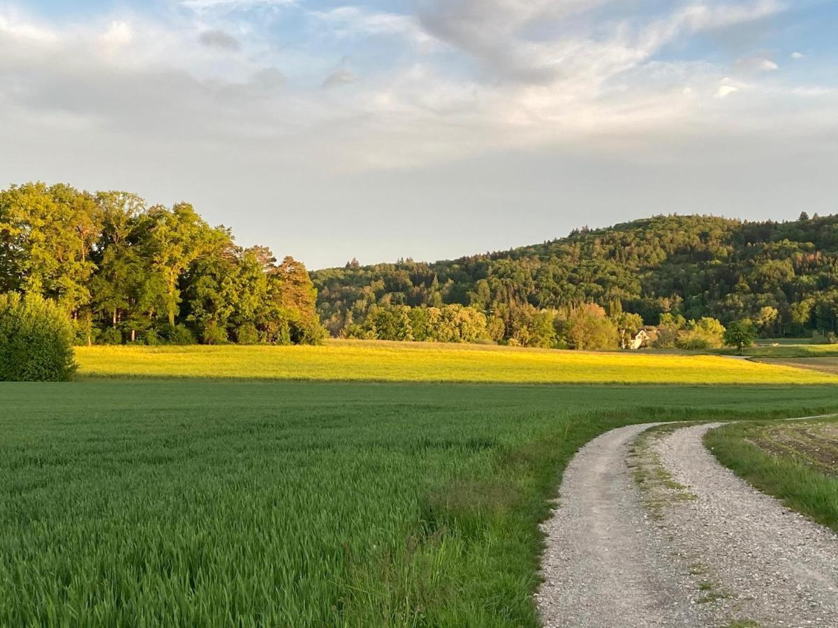 Buesingen Am Hochrhein Radfahren, Wandern, Natur Geniessen Εξωτερικό φωτογραφία