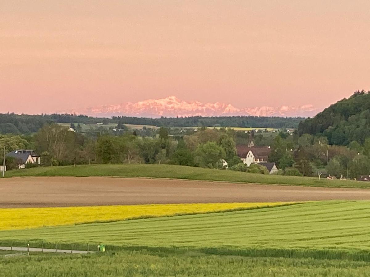 Buesingen Am Hochrhein Radfahren, Wandern, Natur Geniessen Εξωτερικό φωτογραφία